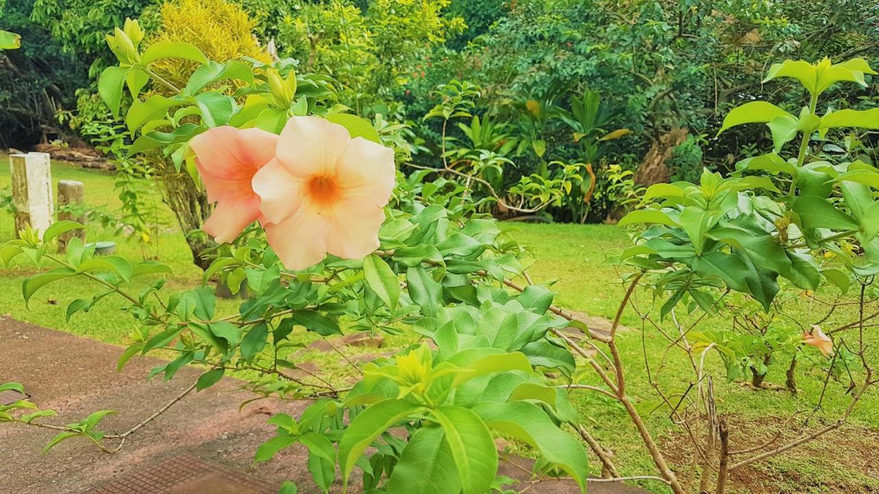 Huahine - Tipanier House Villa Haapu Kültér fotó
